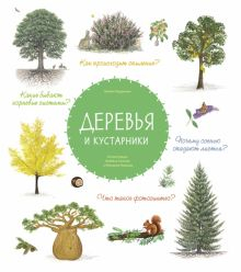 Обложка книги Деревья и кустарники