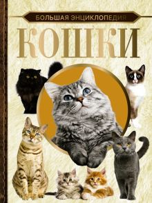 Обложка книги Большая энциклопедия. Кошки